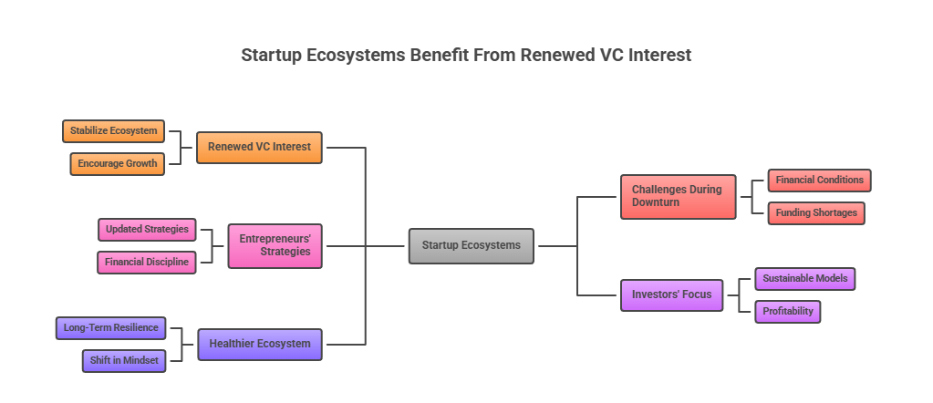 Startup Ecosystems Benefit From Renewed VC Interest