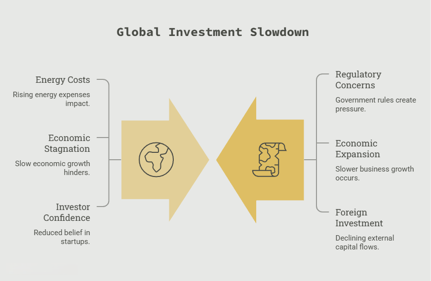 Global Investment Slowdown