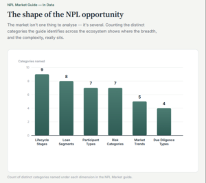 NPL Portfolio Management